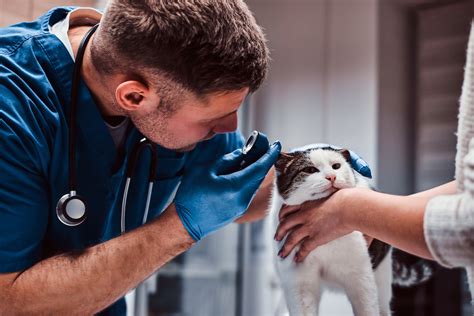 Veterinarians .